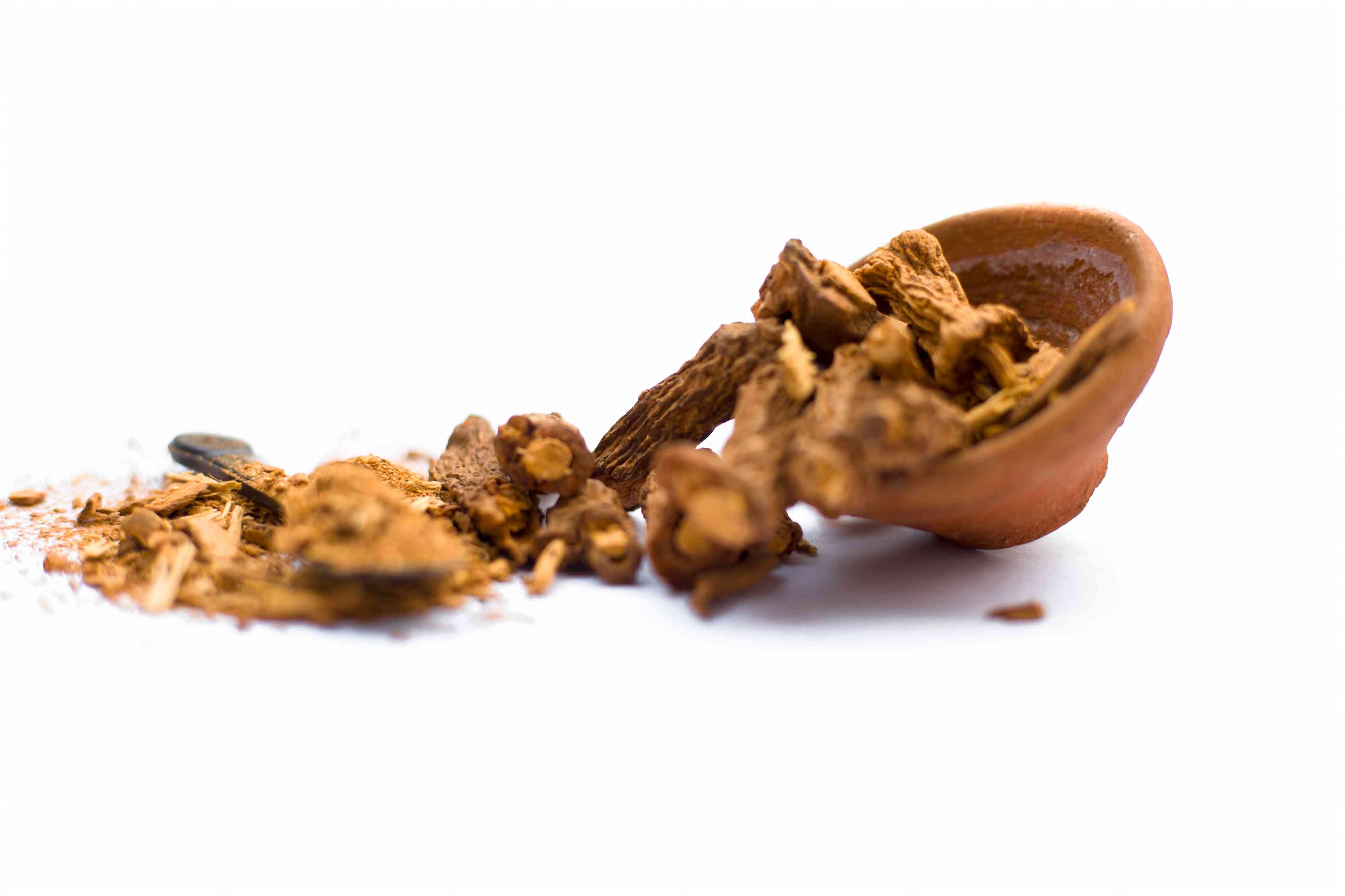 Hemidesmus indicus  Wholesale Manufacturer & Supplier in India